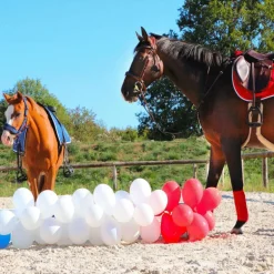 Riding World - Amortisseur rouge