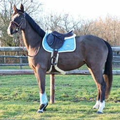 Riding World - Amortisseur pour chevaux blanc