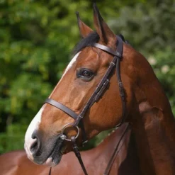Riding World - Bridon muserolle française havane avec rênes