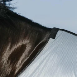 Riding World - Chemise anti-mouches mesh Belly grise