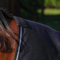 Riding World - Chemise brillante noir 0g