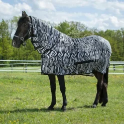 Riding World - Chemise filet Combo zèbre