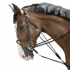 Riding World - Gogue à poulies