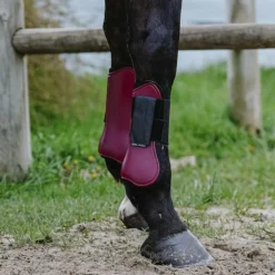 Riding World - Guêtres protège-tendons bordeaux x2