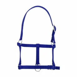 Riding World - Licol foal bleu roi