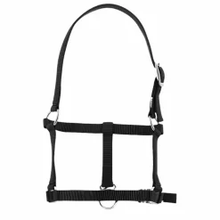 Riding World - Licol foal noir