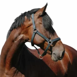 Riding World - Licol Nylon Cushion vert foncé