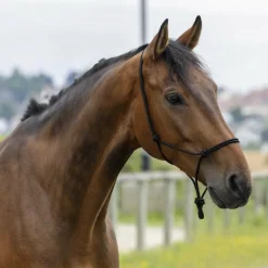 Riding World - Licol éthologique corde fin noir