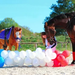 Stübben - Collier de chasse ébène argent