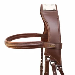 TdeT - Bridon à pont Raphaël tabac