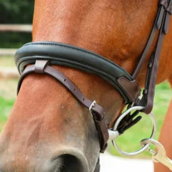 TdeT - Bridon et rênes Lautrec havane foncé/noir