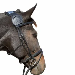 TdeT - Bridon et rênes Vargas noir