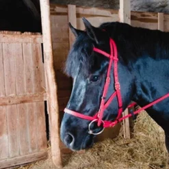 TdeT - Bridon/licol biotack rouge