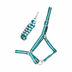 TdeT - Licol doublé avec longe Américaine turquoise/ gris