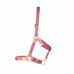 TdeT - Licol en cuir et sangle bordeaux