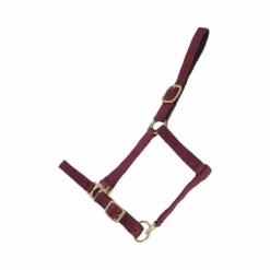 TdeT - Licol synthétique doublé suédine bordeaux