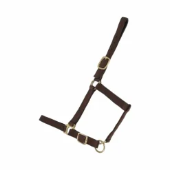 TdeT - Licol synthétique doublé suédine marron foncé
