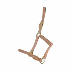 TdeT - Licol synthétique doublé suédine beige