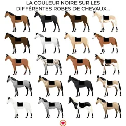 TdeT - Tapis de selle Thérèse noir