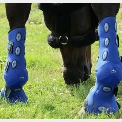 Veredus - Guêtres d'écurie antérieurs Magnetik 4 hours x2