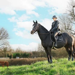 Veredus - Guêtres de Cross antérieurs E-Vento x2