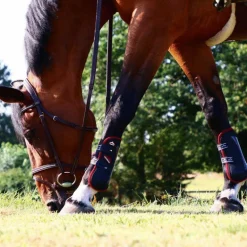 Veredus - Guêtres ouvertes Carbon Gel Vento Color Edition Noir/ Bordeaux x2