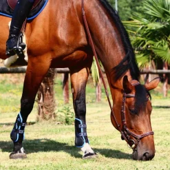 Veredus - Guêtres ouvertes Carbon Gel Vento Color Edition Noir/ Bleu x2