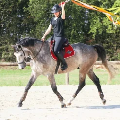 Veredus - Guêtres ouvertes Olympus Vento marron x2