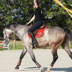 Veredus - Guêtres ouvertes Olympus Vento marron x2