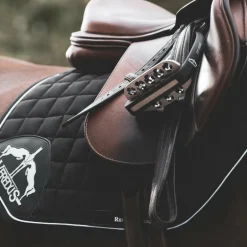 Veredus - Étriers de sécurité Vita Stirrup Steel 1