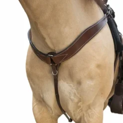 Westride - Collier de chasse Western Westride surpiqué havane